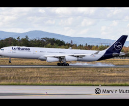 1:144 Airbus A340-300 Lufhansa New Livery