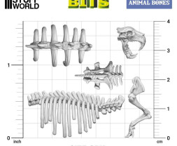 3D Printed Animal Bones – 3D zvieracie kosti a lebky (52 ks)