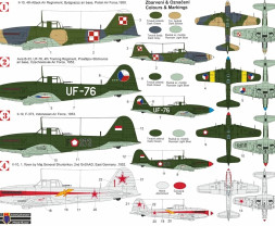 1:72 Ilyushin Il-10/B-33 “Beast”