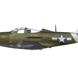 1:48 Bell P-39 Airacobra Recon